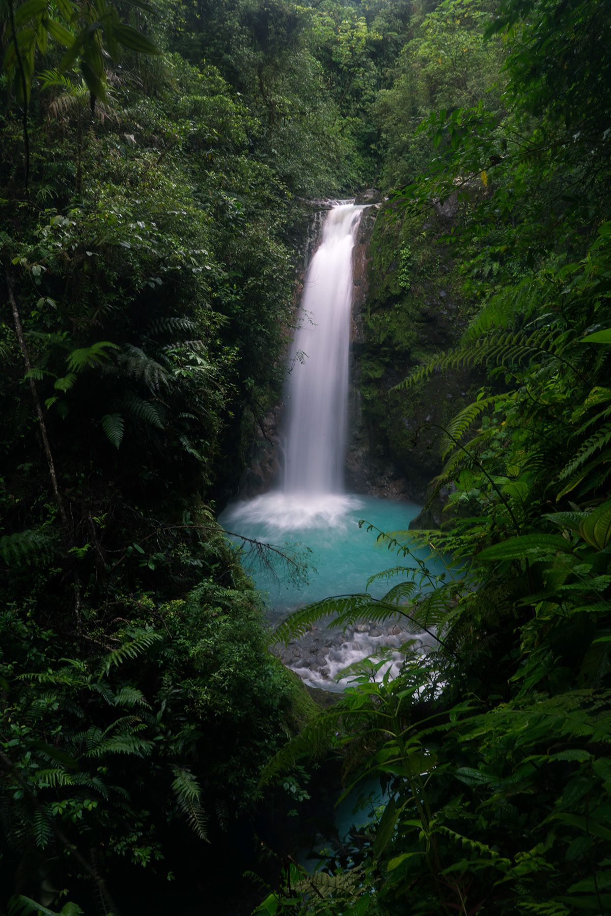 Bajos del Toro, Costa Rica. Photograph by Jonathan Byrne.