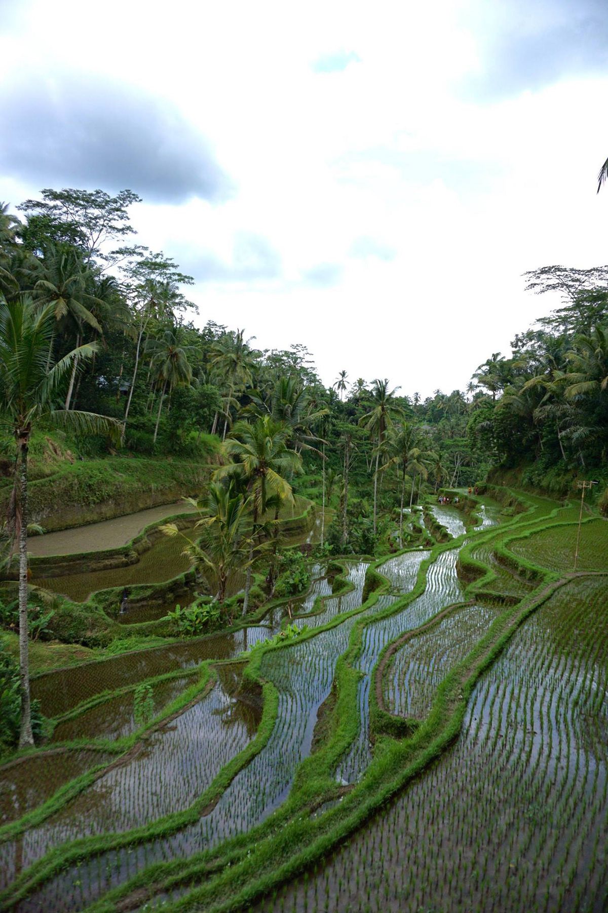 Bali, Indonesia. Photograph by Jonathan Byrne.