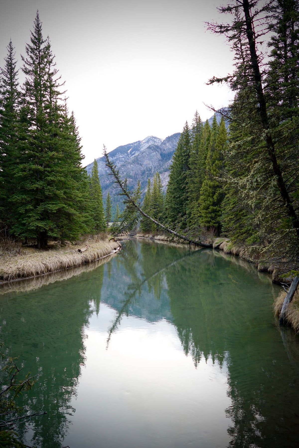 Banff, Canada. Photograph by Jonathan Byrne.