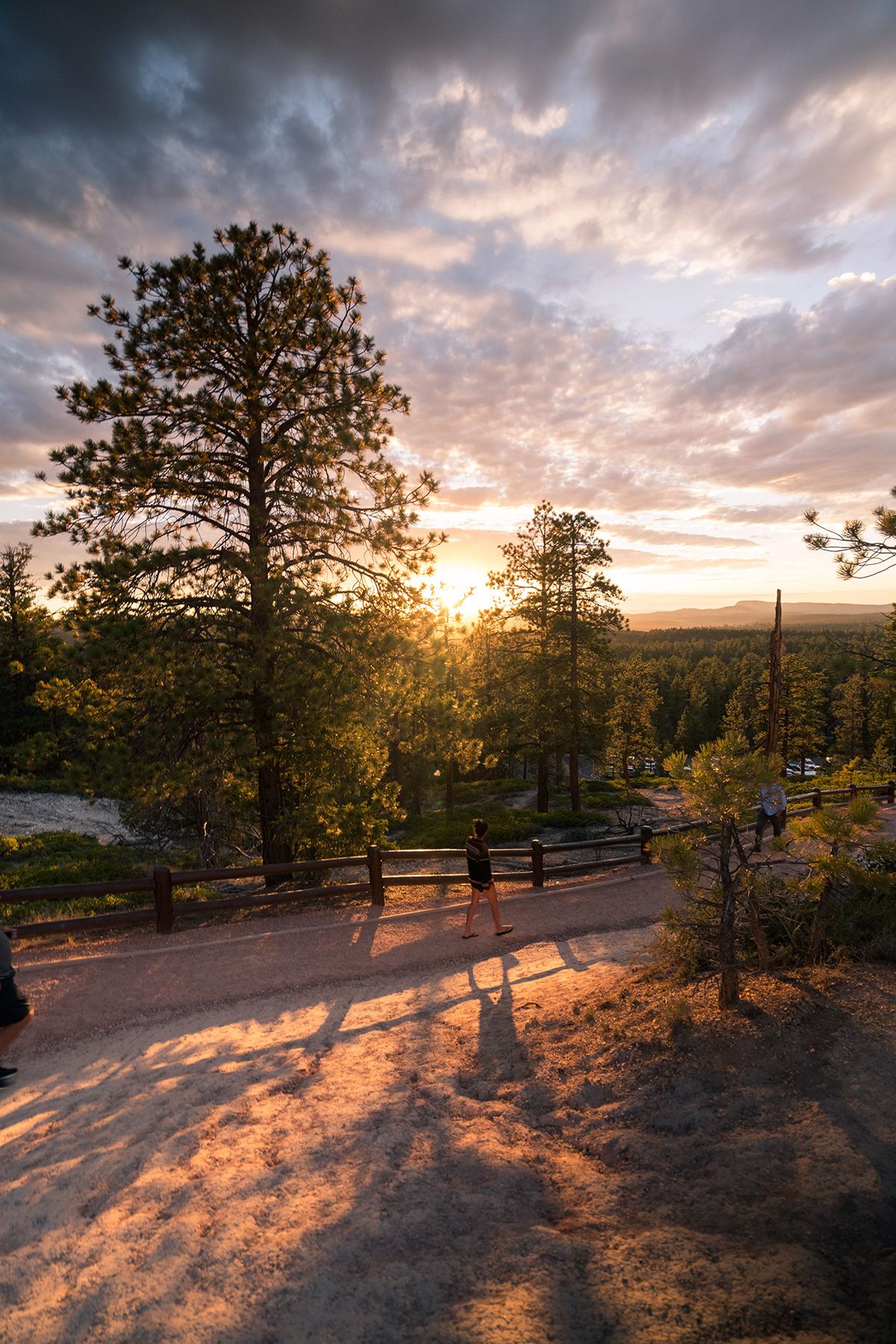 Bryce Canyon, USA. Photograph by Jonathan Byrne.