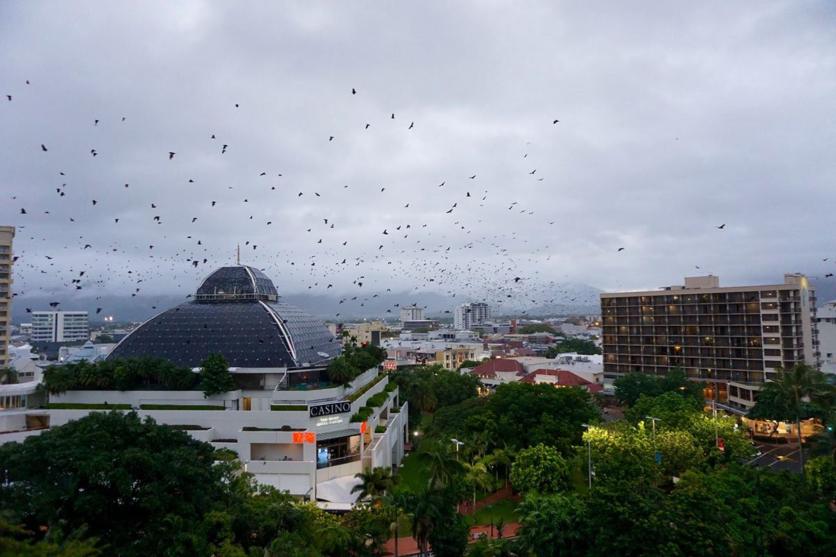 Cairns, Australia. Photograph by Jonathan Byrne.