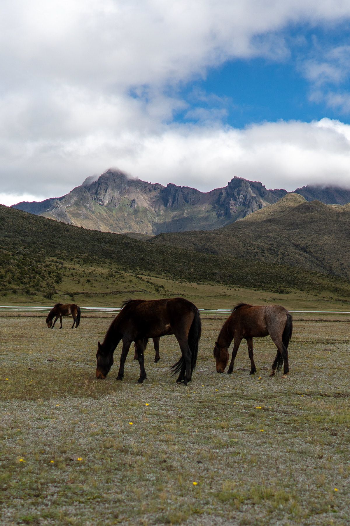 Cotopaxi, Ecuador. Photograph by Jonathan Byrne.