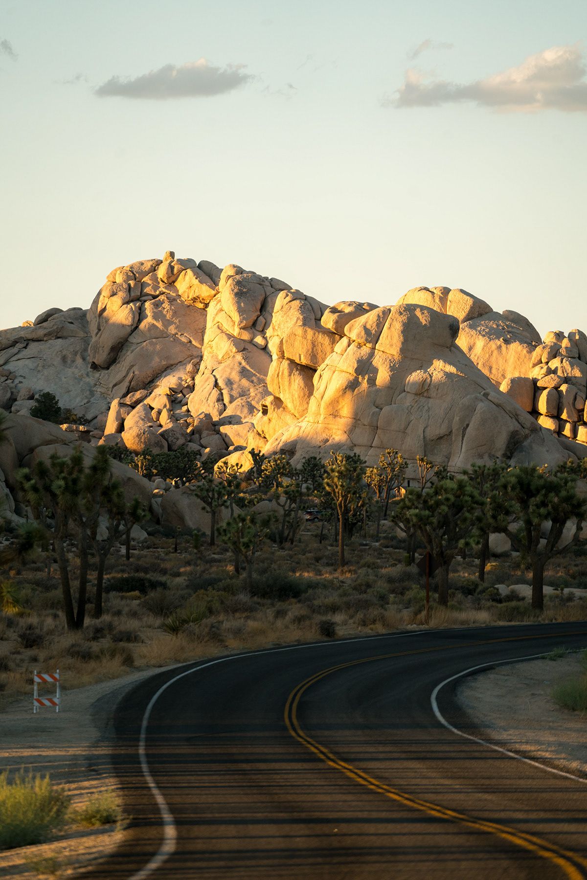 Joshua Tree, USA. Photograph by Jonathan Byrne.