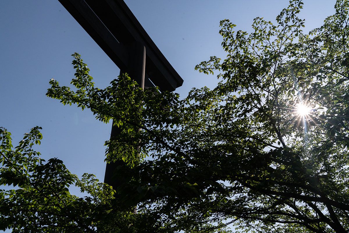 Kumano Kodo, Japan. Photograph by Jonathan Byrne.