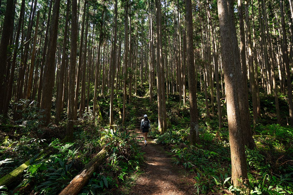 Kumano Kodo, Japan. Photograph by Jonathan Byrne.