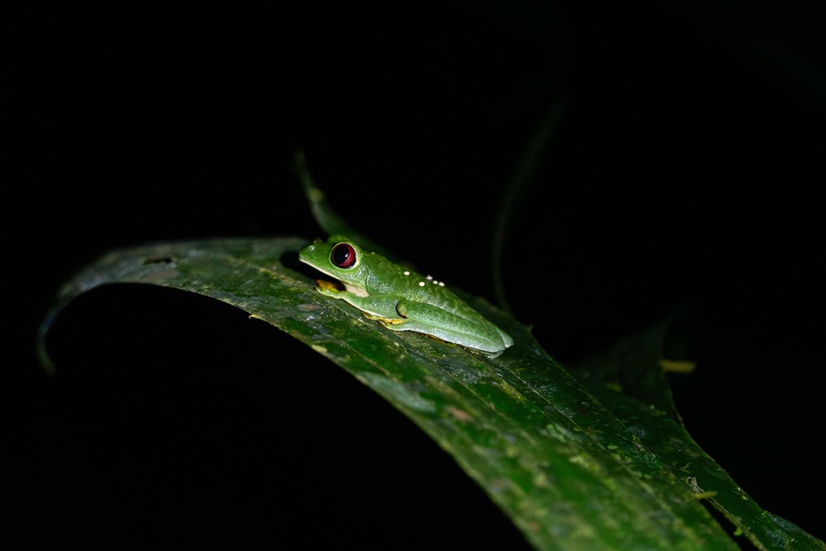 Manuel Antonio, Costa Rica. Photograph by Jonathan Byrne.