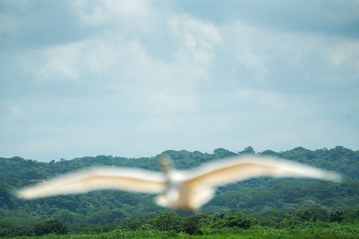 Manuel Antonio, Costa Rica. Photograph by Jonathan Byrne.