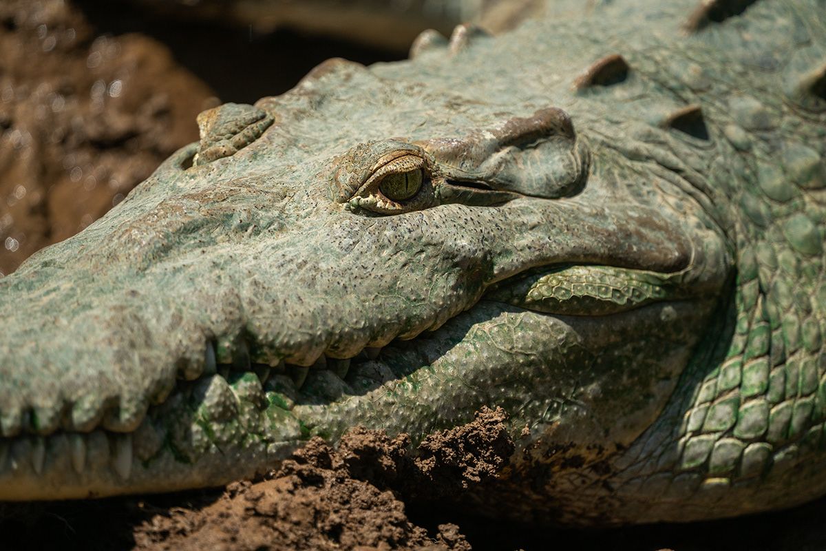 Manuel Antonio, Costa Rica. Photograph by Jonathan Byrne.