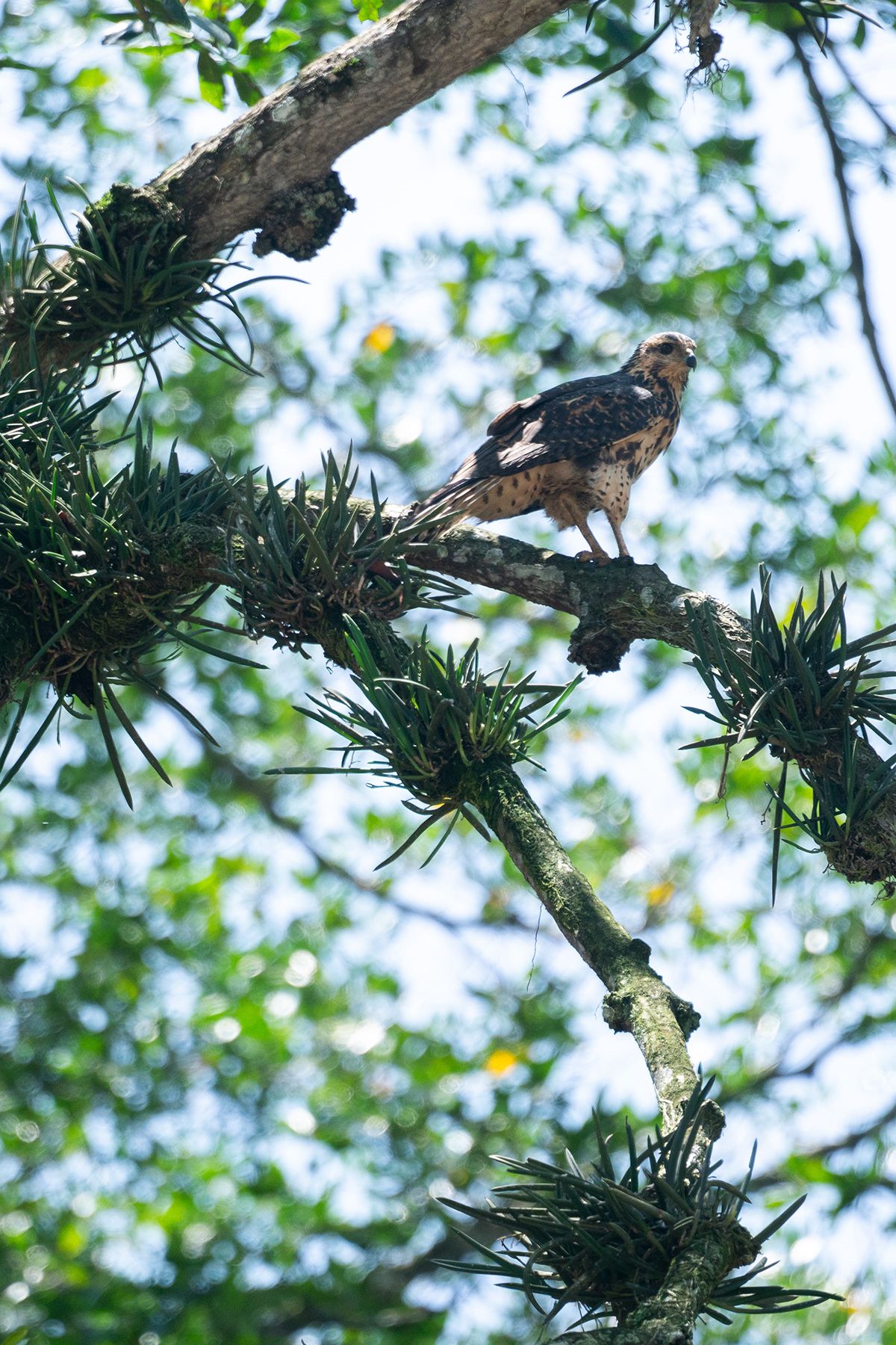 Manuel Antonio, Costa Rica. Photograph by Jonathan Byrne.