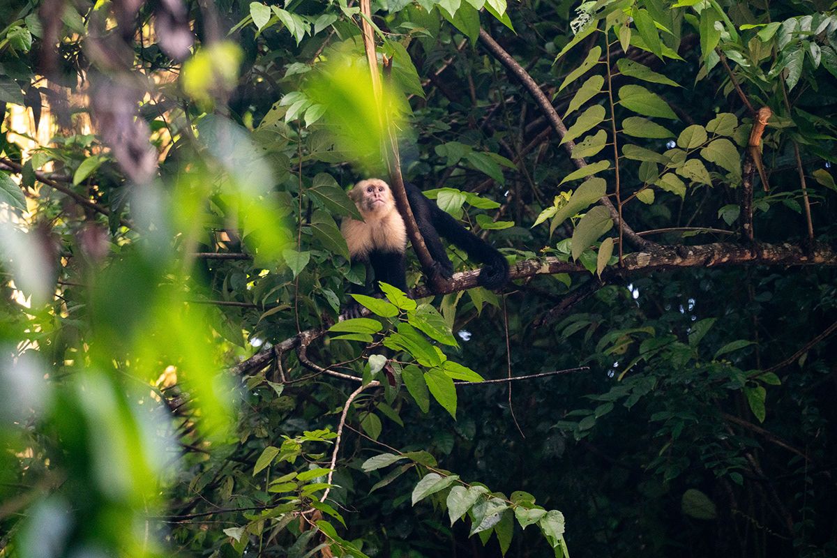 Manuel Antonio, Costa Rica. Photograph by Jonathan Byrne.