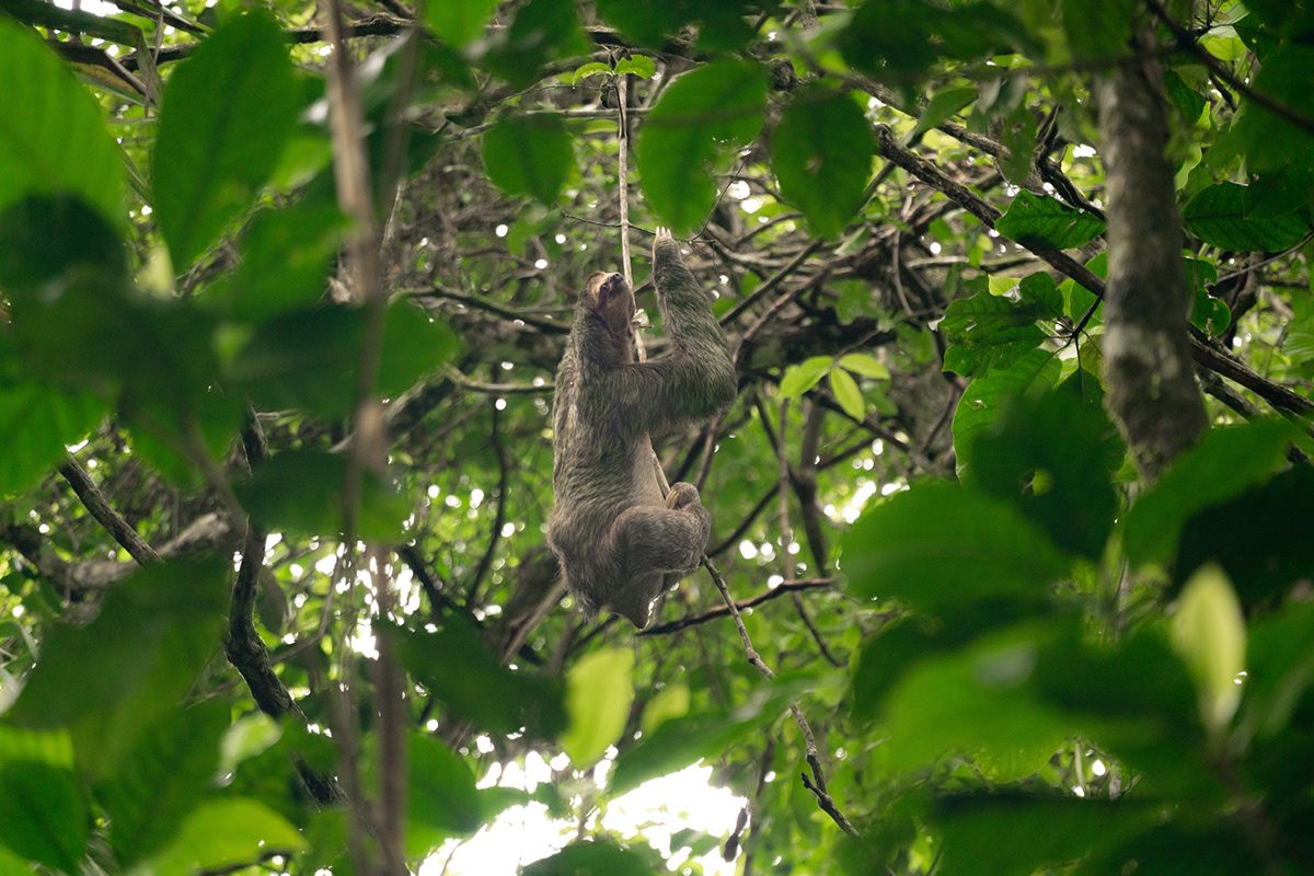Manuel Antonio, Costa Rica. Photograph by Jonathan Byrne.