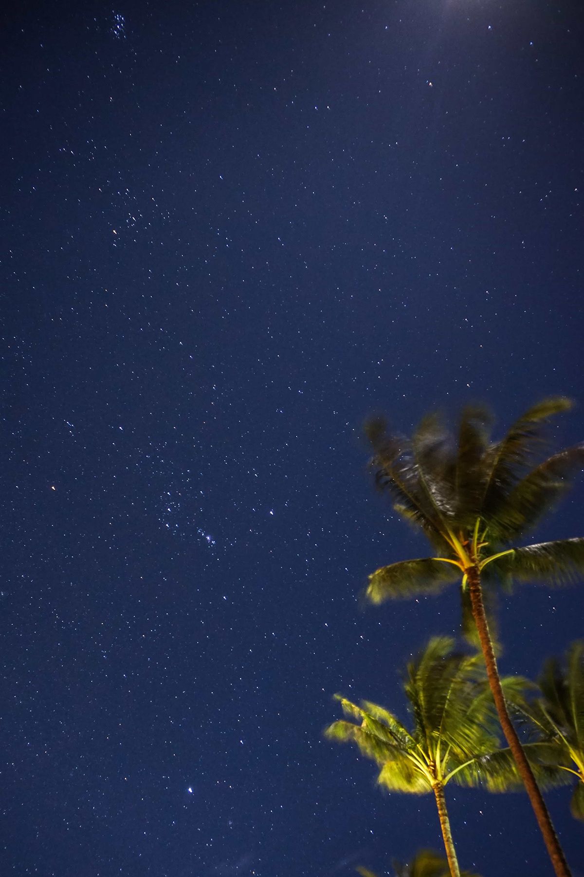 Maui, USA. Photograph by Jonathan Byrne.