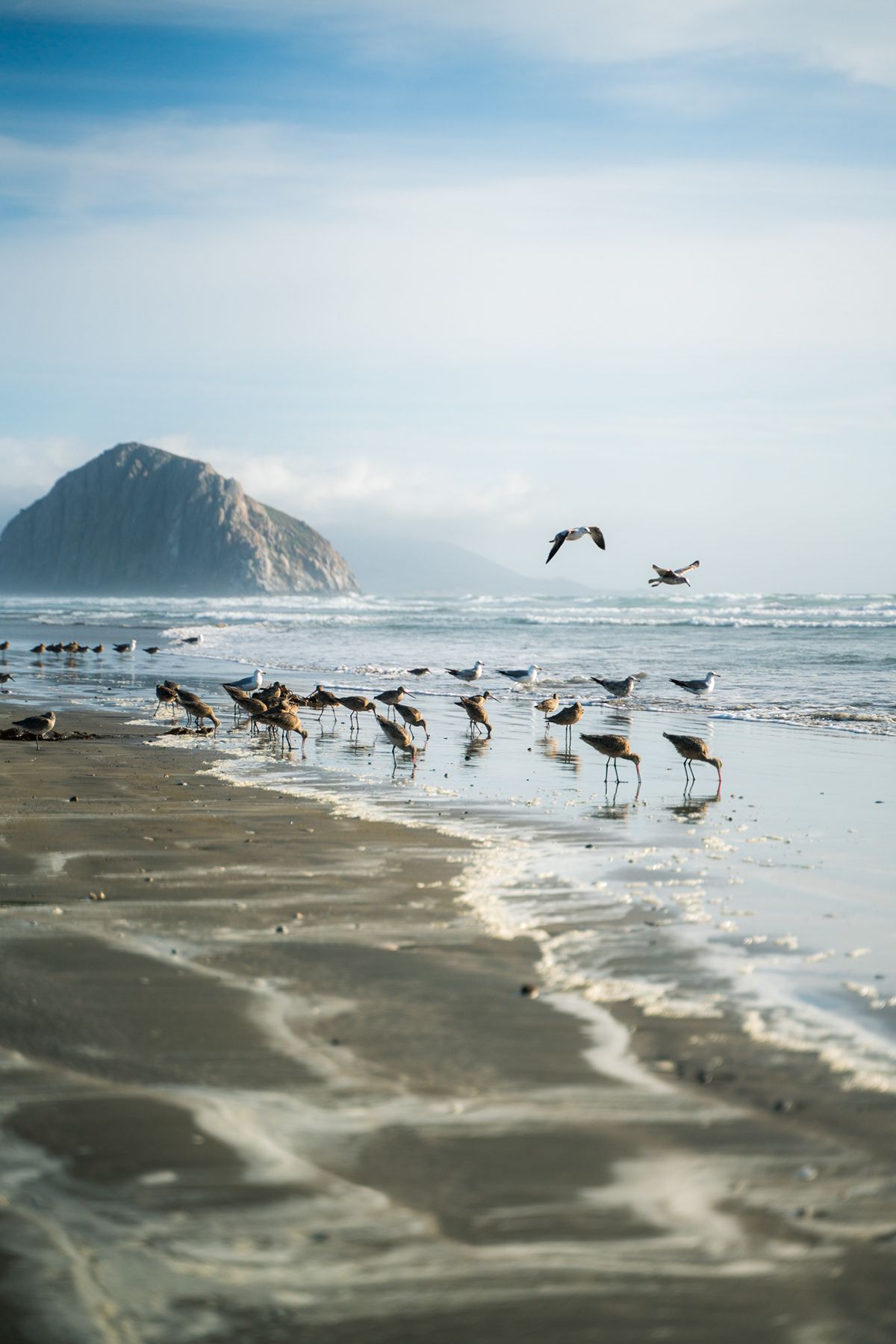 Morro Bay, USA. Photograph by Jonathan Byrne.