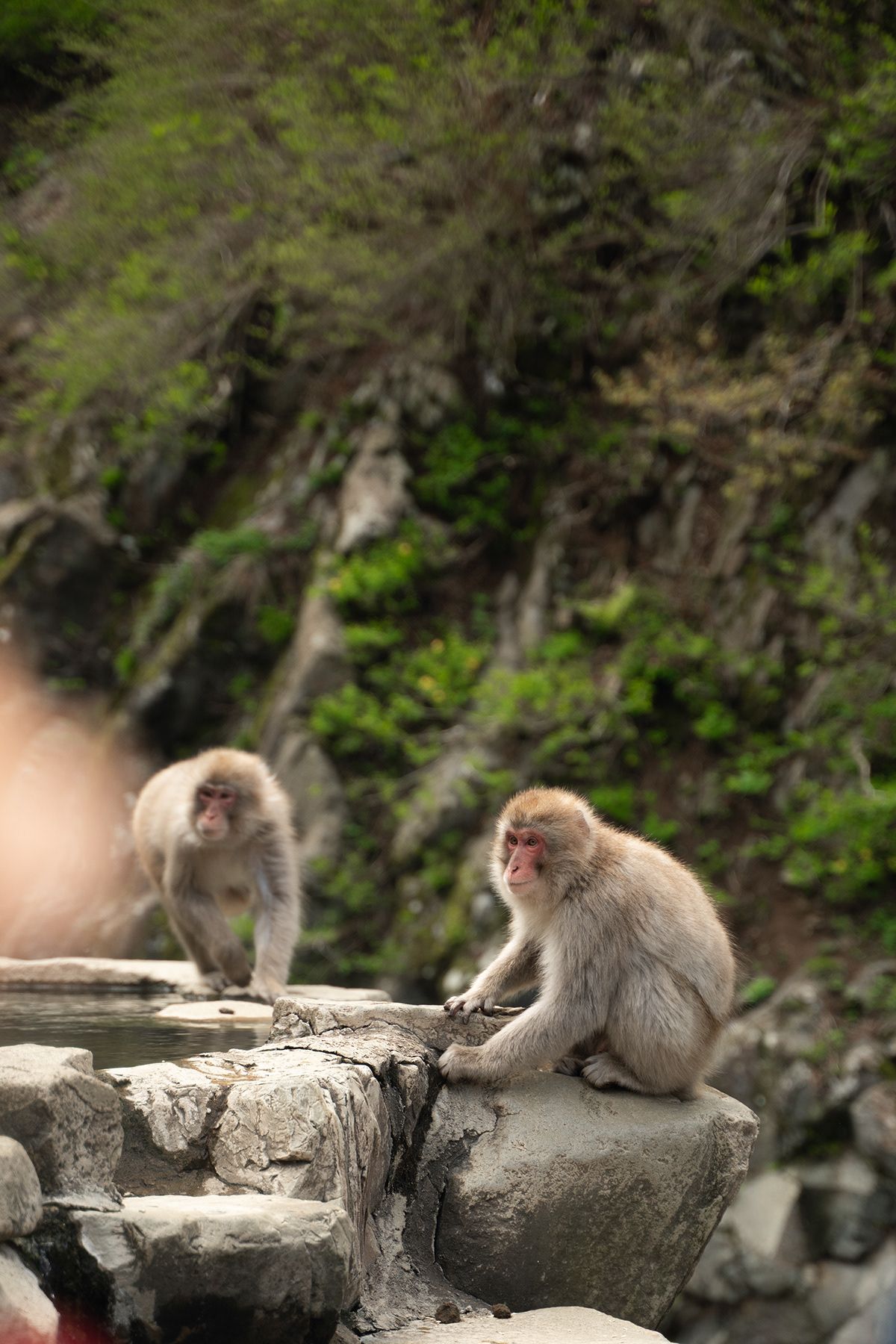 Nagano, Japan. Photograph by Jonathan Byrne.