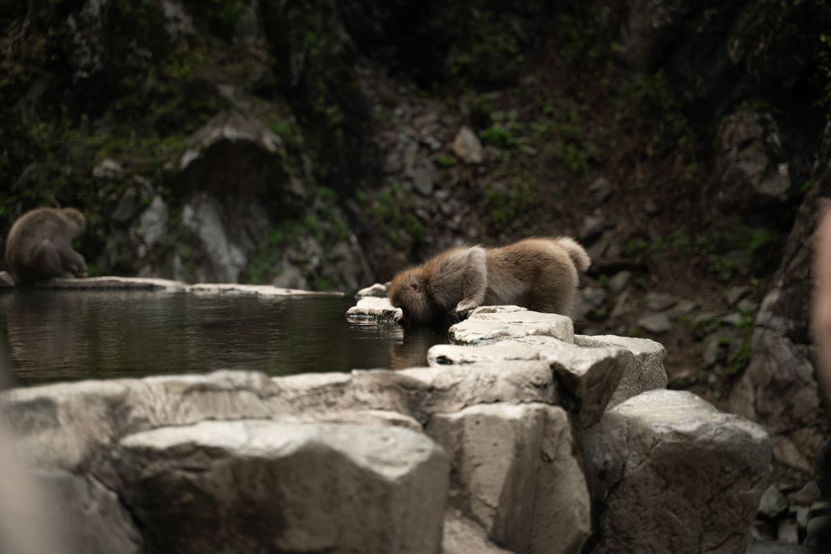Nagano, Japan. Photograph by Jonathan Byrne.