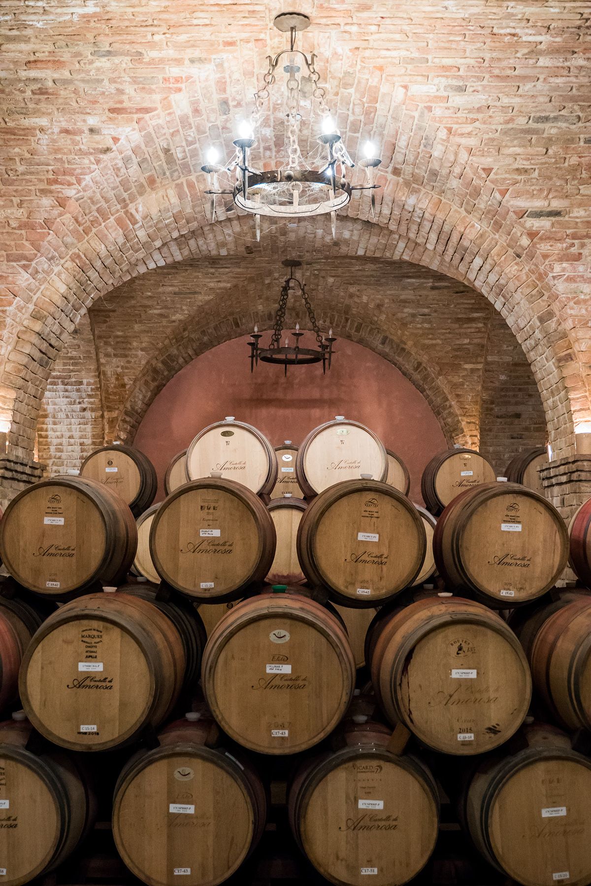 Napa Valley, California. Photograph by Jonathan Byrne.