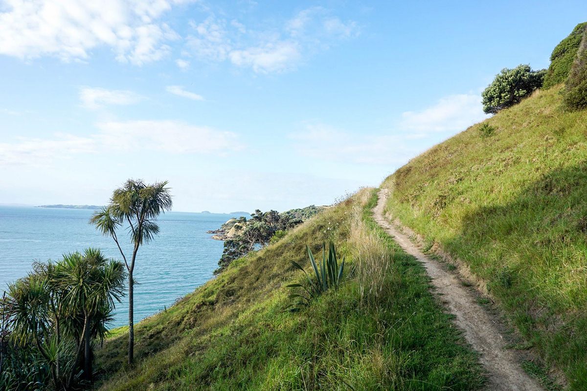New Zealand, New Zealand. Photograph by Jonathan Byrne.