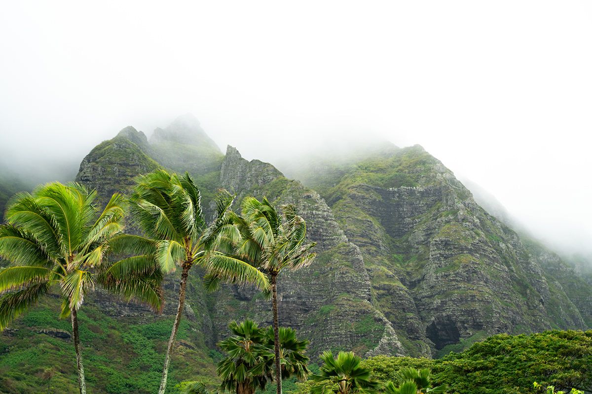 Oahu, USA. Photograph by Jonathan Byrne.