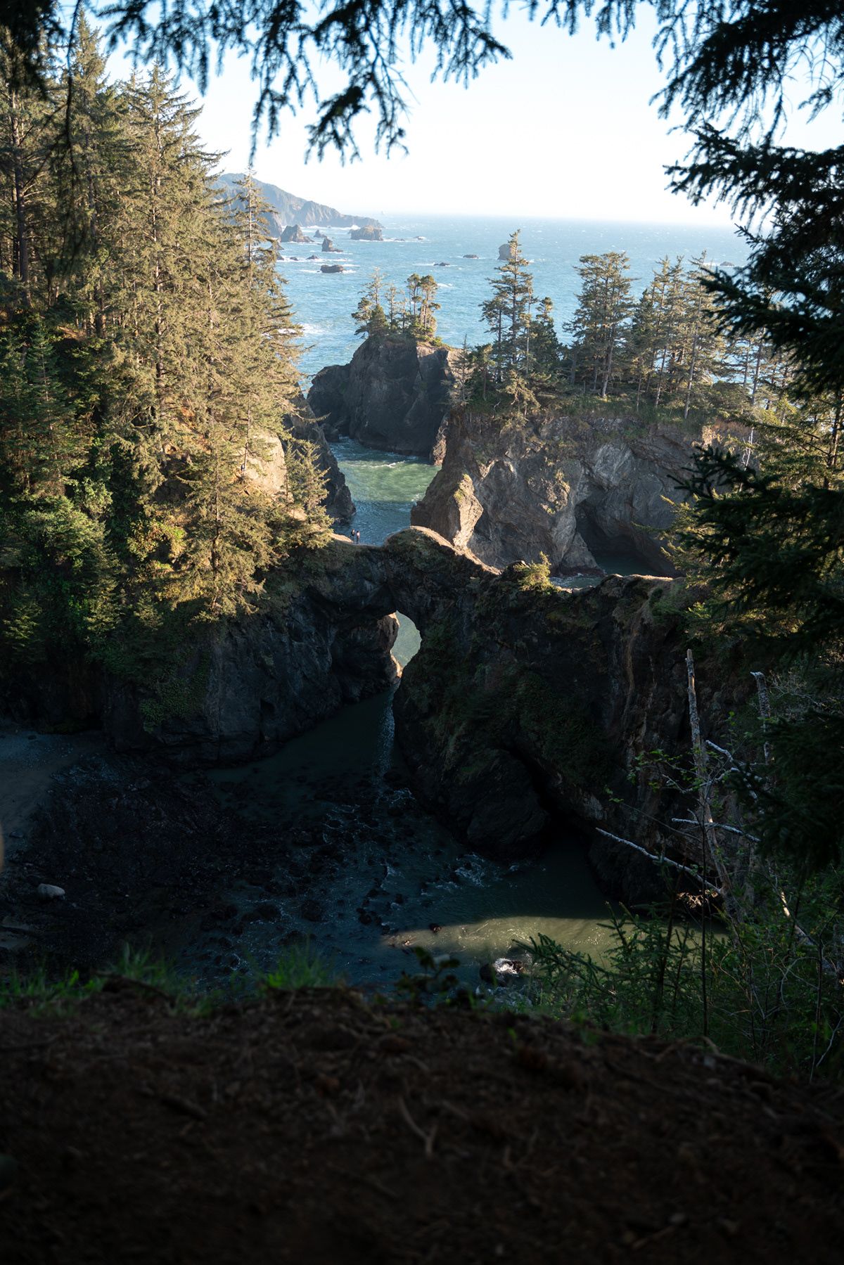 Oregon Coast, USA. Photograph by Jonathan Byrne.
