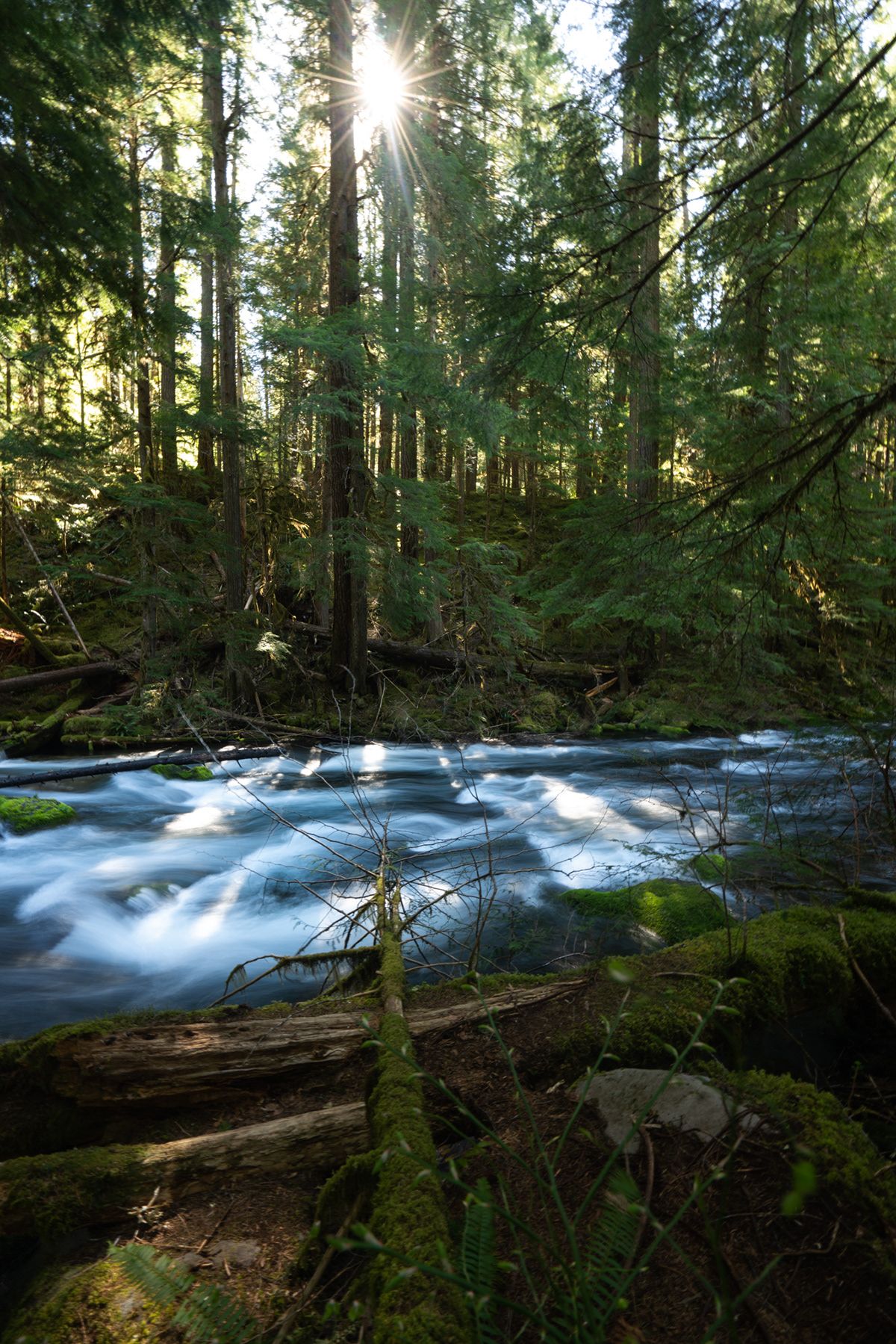 Oregon Coast, USA. Photograph by Jonathan Byrne.