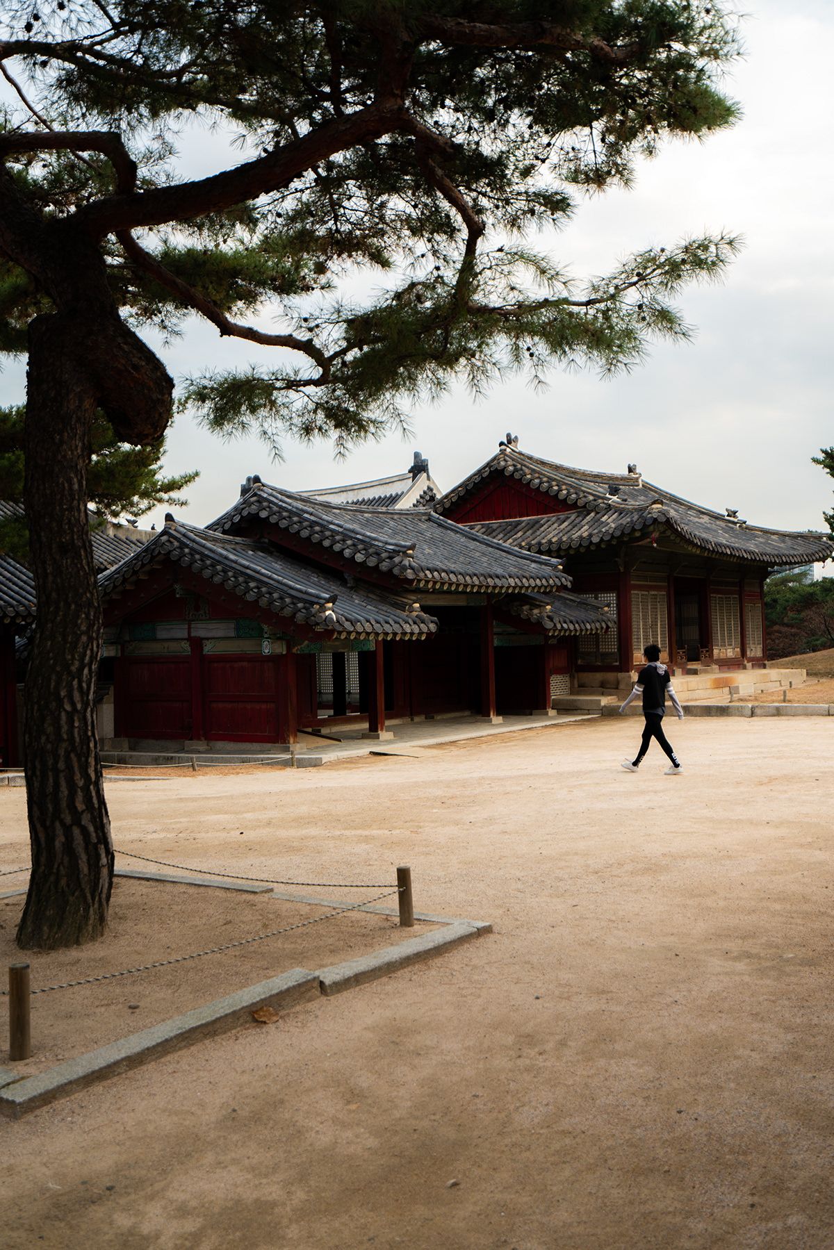 Seoul, South Korea. Photograph by Jonathan Byrne.