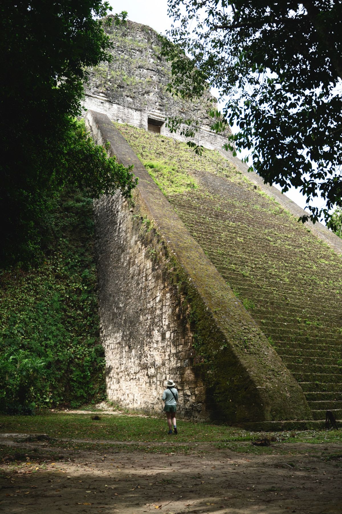 Tikal, Guatemala. Photograph by Jonathan Byrne.