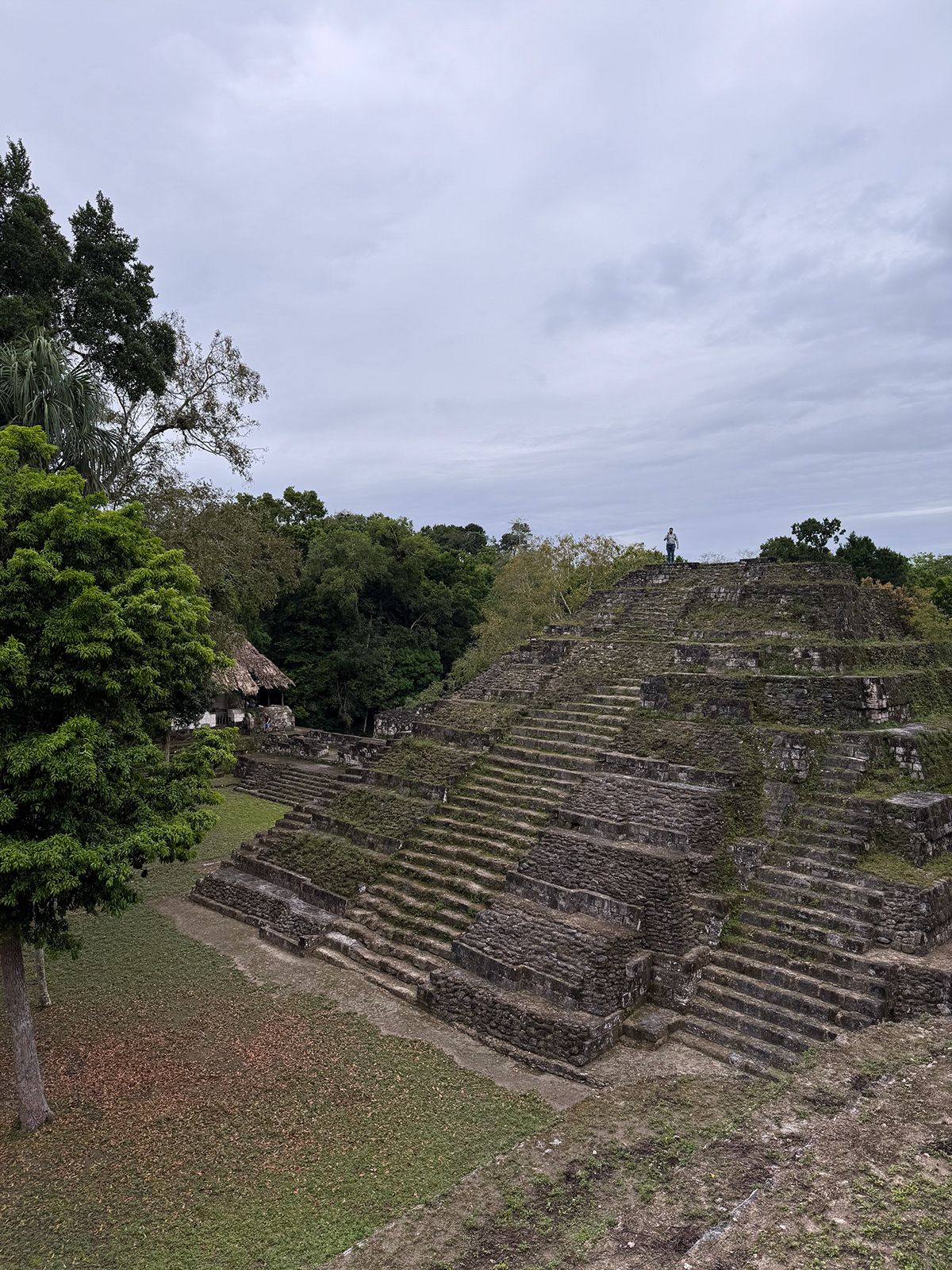 Tikal, Guatemala. Photograph by Jonathan Byrne.