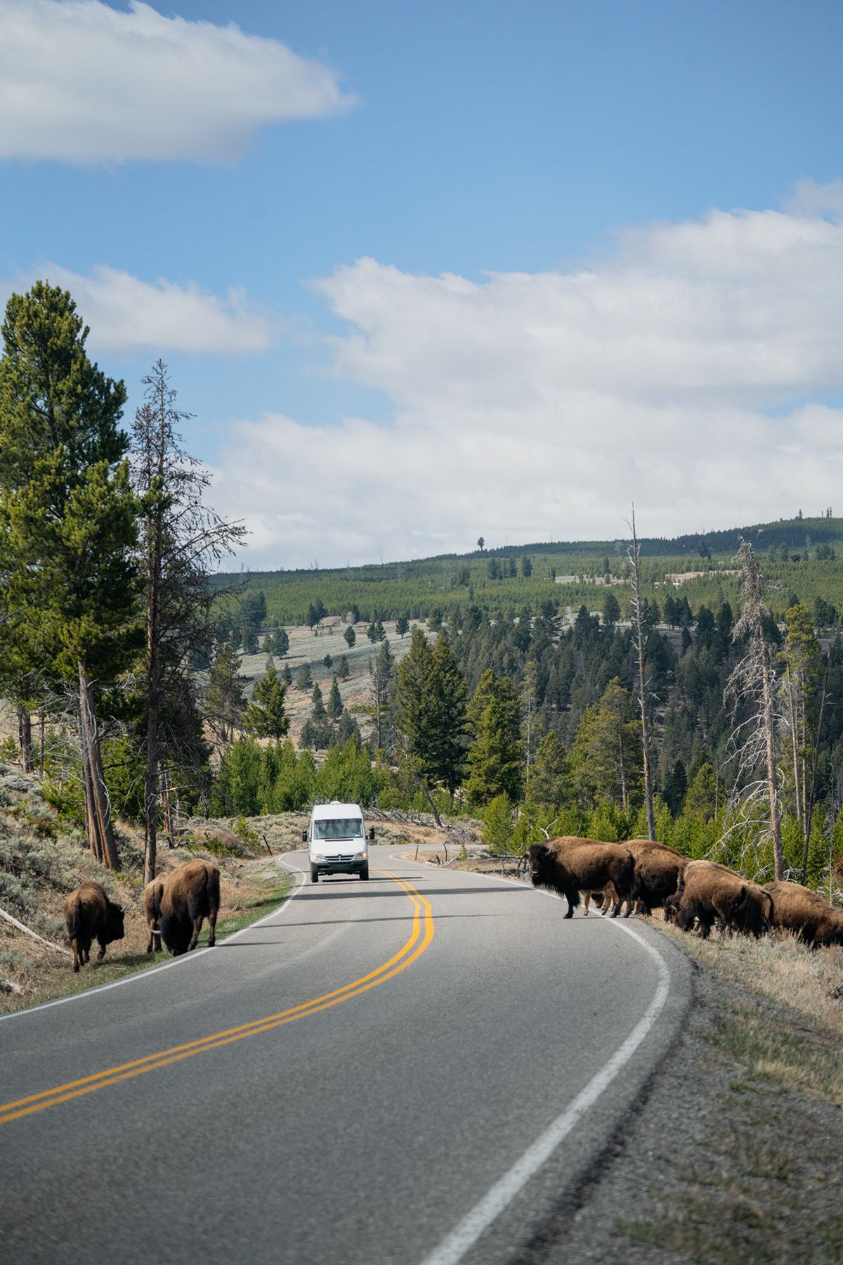 Yellowstone, USA. Photograph by Jonathan Byrne.