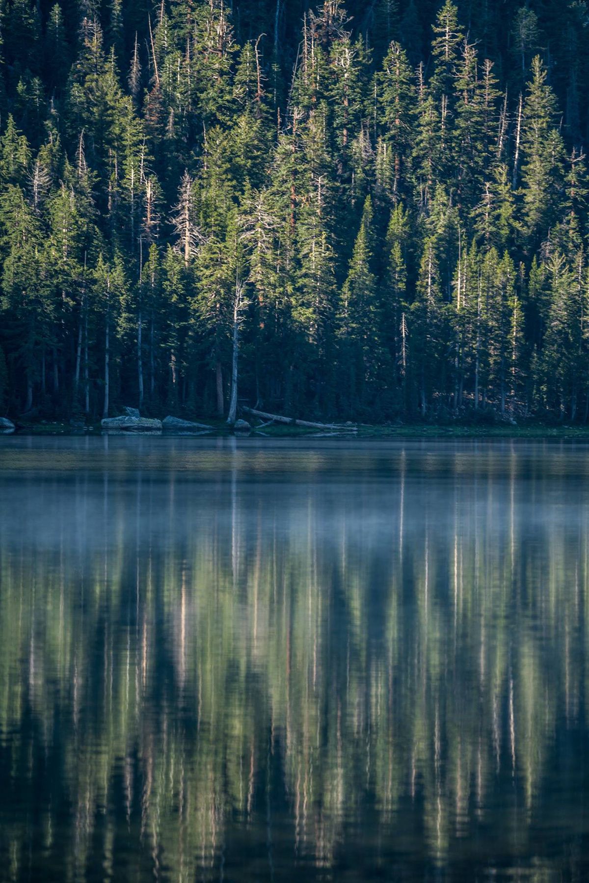 Yosemite, USA. Photograph by Jonathan Byrne.